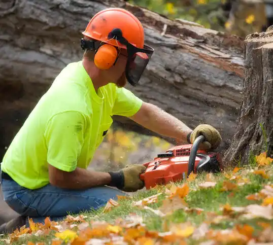 tree services Broadway